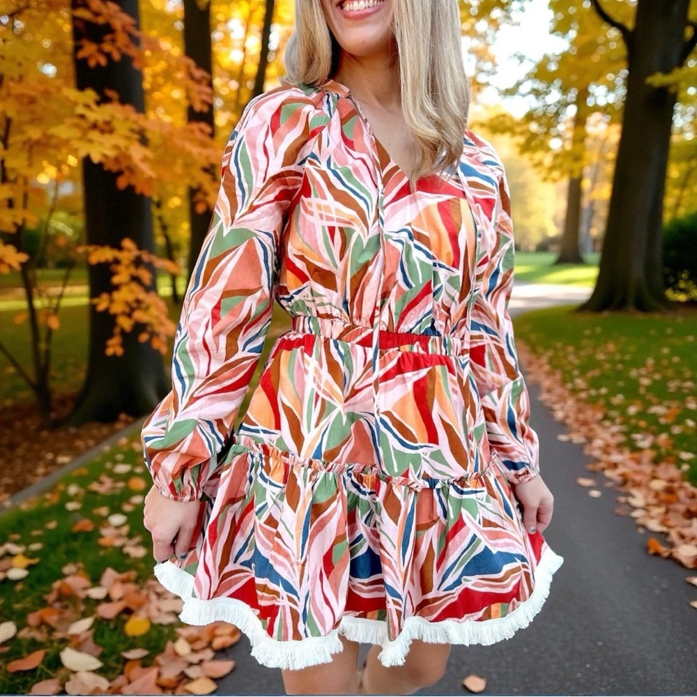 Strut and Bolt long sleeve print mini dress size S